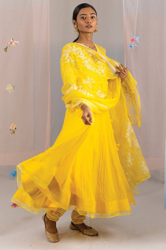 Kyra Mirror Work Anarkali