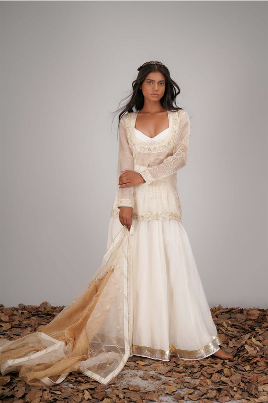 Chanderi Lehenga With Striped Tissue Long Choli