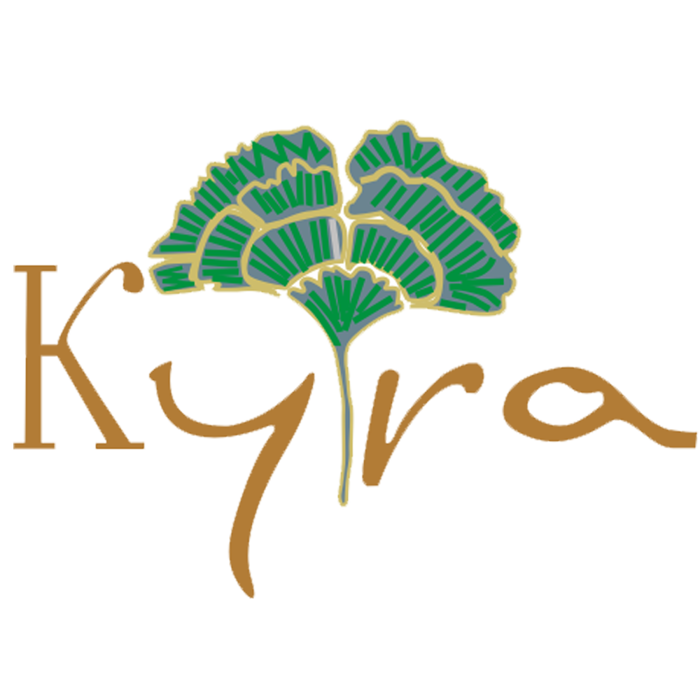 Our Story Kyra By Bhavna our-story-kyra-by-bhavna