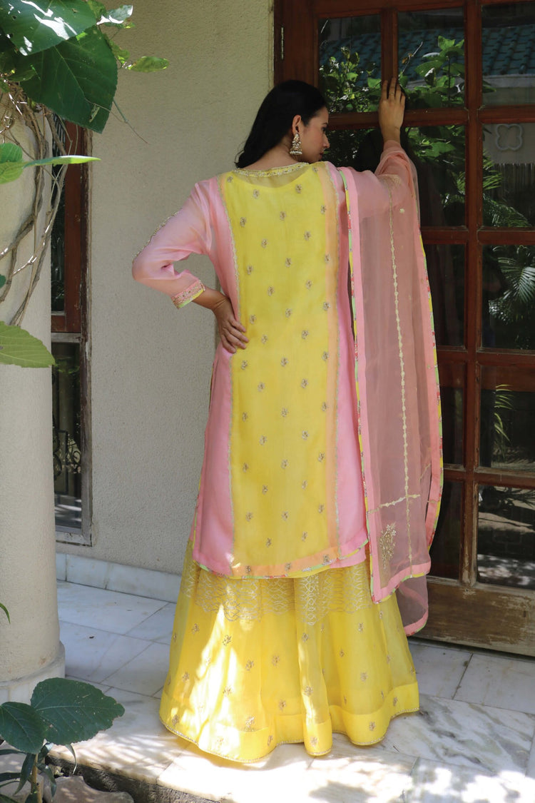 Organza Sharara Suit Set